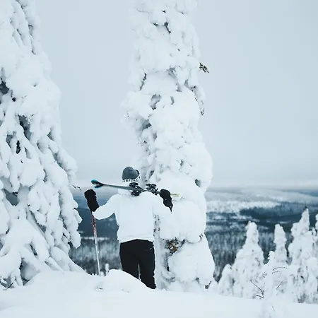 Igloos *