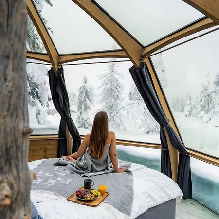 Igloos * 소티