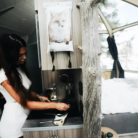 Apartmán Igloos Syöte