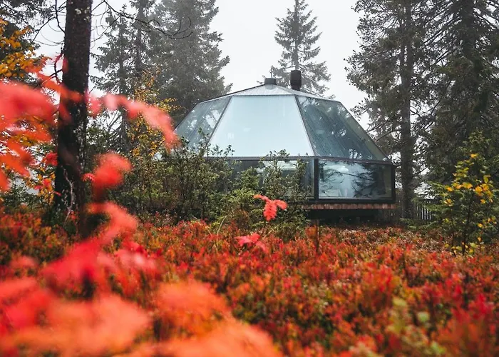 Διαμέρισμα Igloos Syöte